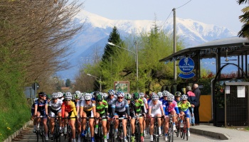 Trofeo Da Moreno 2014