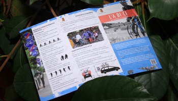 School Project in Cittiglio