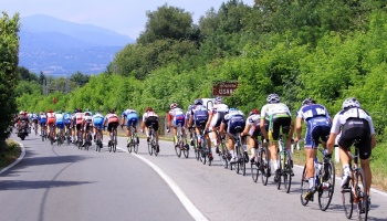 Trofeo Almar 