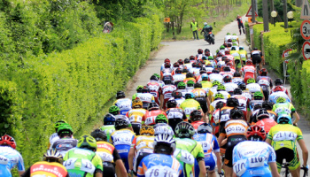 “VI° Trofeo Corri per la Mamma” Juniores a Taino (foto: F. Ossola)