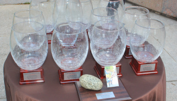 “Trofeo Da Moreno – Memorial Ersilio Ferrario Juniores” (photo: F. Ossola)