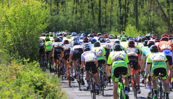 “Trofeo Corri per la Mamma – Trofeo ALMAR – Coppa dei Laghi Under 23” (foto: F. Ossola)