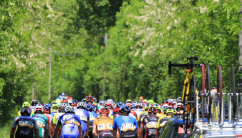 “Trofeo Corri per la Mamma – Trofeo ALMAR – Coppa dei Laghi Under 23” (foto: F. Ossola)