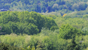 “Trofeo Corri per la Mamma – Trofeo ALMAR – Coppa dei Laghi Under 23” (foto: F. Ossola)