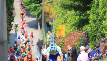 “Trofeo Da Moreno – Memorial Ersilio Ferrario Juniores” (photo: F. Ossola)