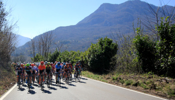 “21^ Trofeo Alfredo Binda – Comune di Cittiglio U.C.I. WWT” (photo: F. Ossola)