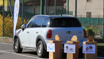 “7^ Trofeo Da Moreno – Nations’ Cup Junior Women” (foto: F. Ossola)
